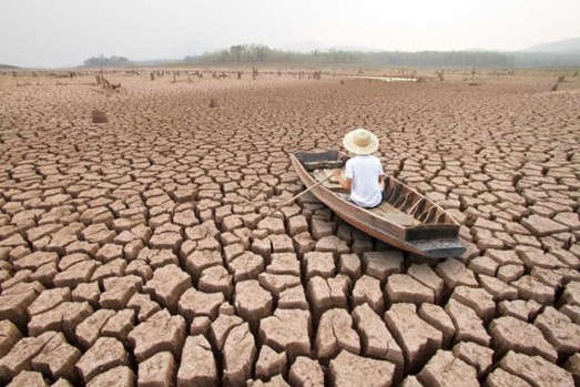 5 Maiores Questões do Meio Ambiente